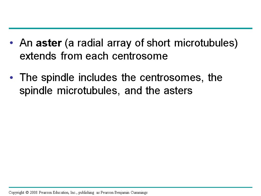 An aster (a radial array of short microtubules) extends from each centrosome The spindle